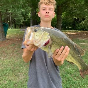 Meet your Posher, Jace